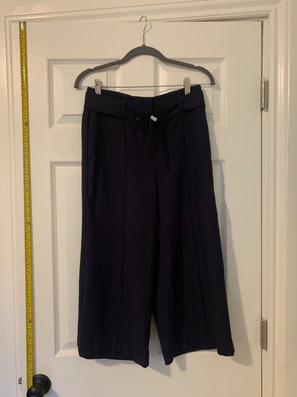 Ann Taylor Navy Wide Leg Pants with Belt - 2P